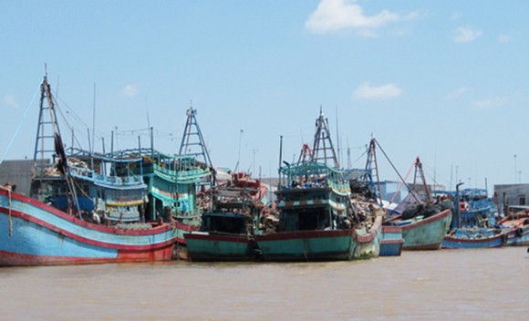 ĐBSCL khẩn trương phòng chống bão số 9 ảnh 4