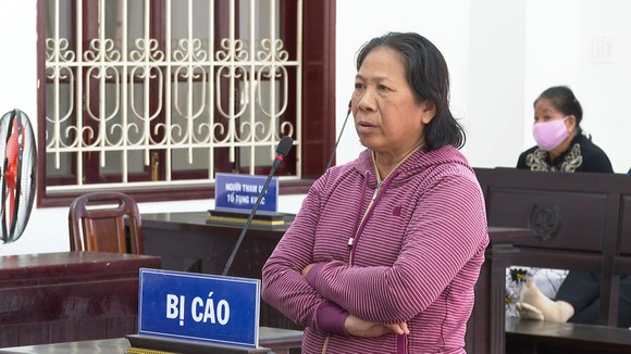 Lãnh án 13 năm tù về tội lừa đảo hơn 11 tỷ đồng ảnh 1