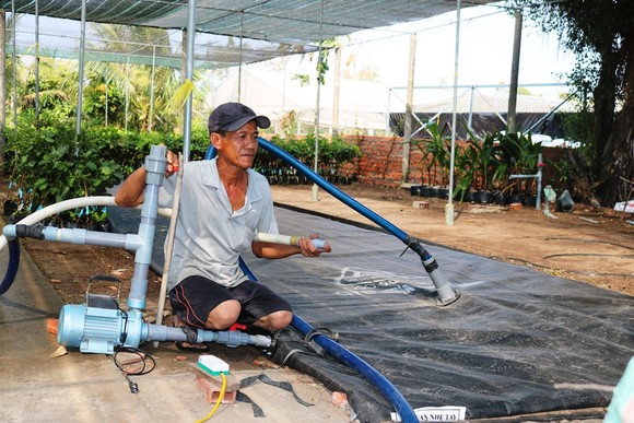 Nông dân sản xuất lúa đông xuân ở ĐBSCL được mùa, được giá ảnh 3