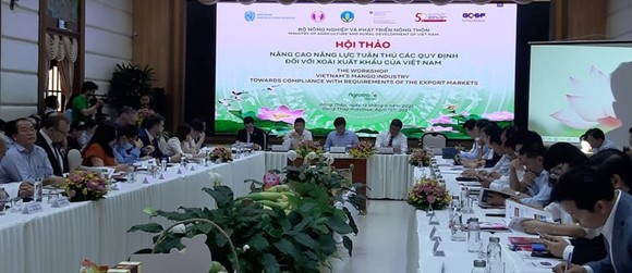 Xuất khẩu xoài đạt trên 180 triệu USD ảnh 1