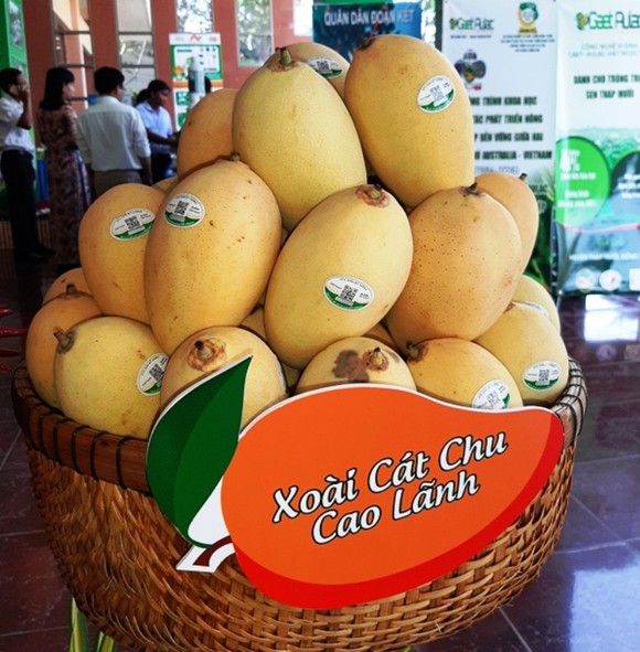 Xuất khẩu xoài đạt trên 180 triệu USD ảnh 3
