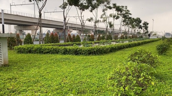 Bến xe miền Đông mới trước ngày hoạt động ảnh 6