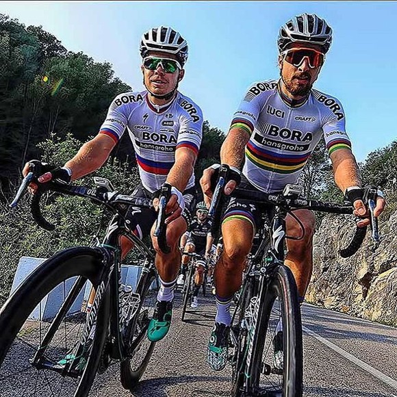 “Đứa con Thần gió” Peter Sagan lỡ hẹn với Olympic Tokyo ảnh 1