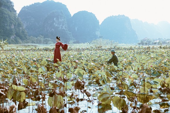 Lê Thanh Hòa giới thiệu bộ sưu tập thời trang mới kết hợp cùng Hoa hậu Đỗ Mỹ Linh ảnh 5
