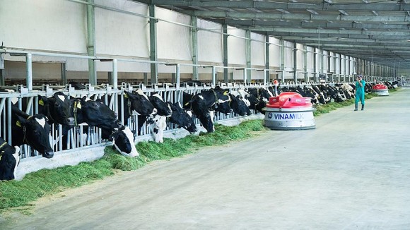 Vinamilk là thương hiệu có giá trị cao nhất Việt Nam năm 2019 ảnh 2