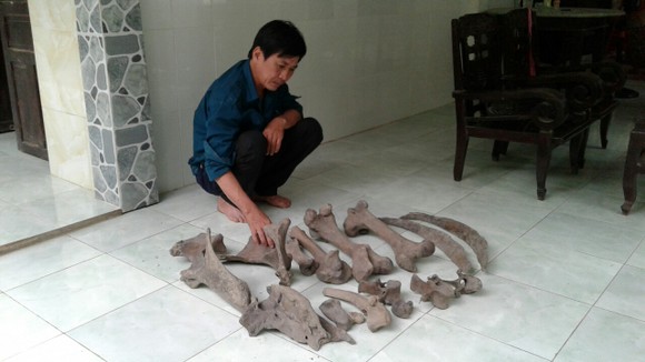 Người dân Bến Tre phát hiện nhiều mảnh xương lạ dưới mương nước ảnh 1