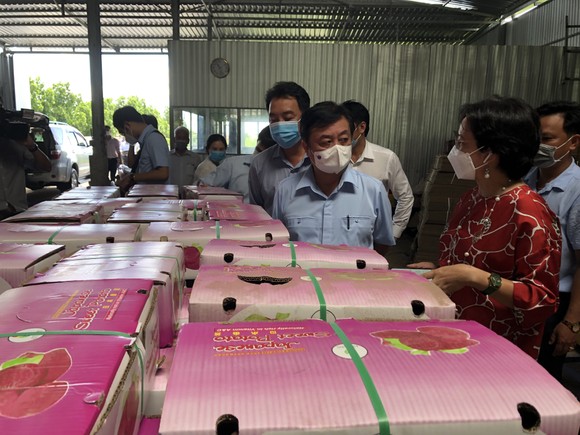 Tìm giải pháp căn cơ cho tiêu thụ nông sản ảnh 1