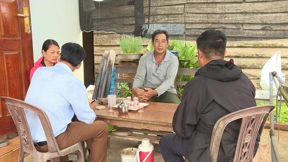 Giải toả nghi vấn cây cà phê bị vàng lá, rụng quả sau khi sử dụng phân bón ảnh 1