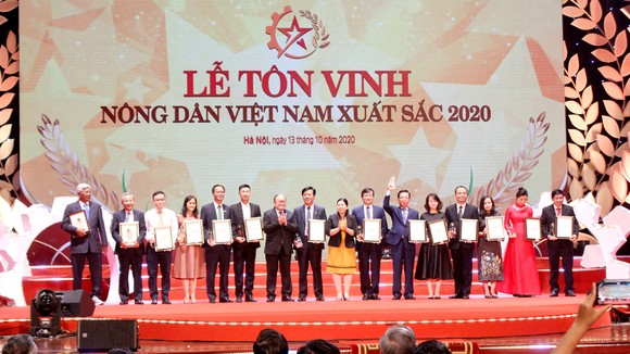 Tuyên dương những nhà nông tiêu biểu Việt Nam 2020 ảnh 2