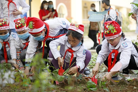 Các em học sinh trồng cây hưởng ứng Lễ hội. Ảnh: MINH HOÀNG
