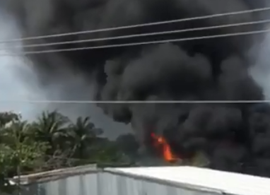 Cà Mau: Cháy lớn tại công ty thủy sản ảnh 1