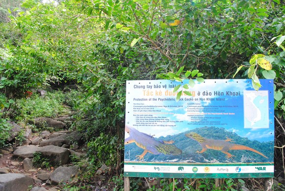 Cà Mau thành lập khu rừng bảo tồn cụm đảo Hòn Khoai - Hòn Chuối ảnh 1
