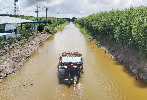 Cà Mau phát triển bền vững kinh tế rừng ảnh 3