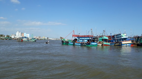 Cà Mau tập trung phát triển đô thị động lực ảnh 2