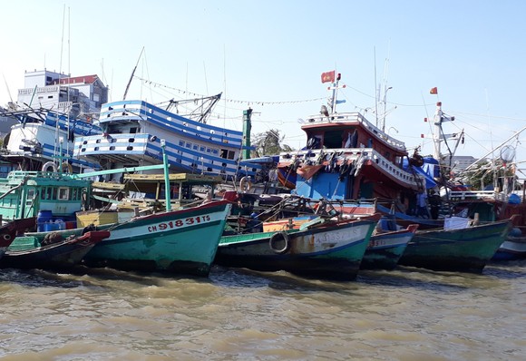 Huyện Ngọc Hiển (tỉnh Cà Mau): Tàu cá mua 1.000 lít dầu trở lên phải thông báo trước 2 ngày ảnh 1