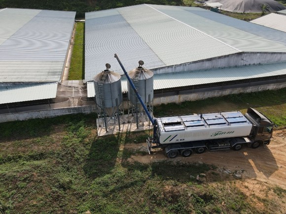 Phú Hưng - Trại chăn nuôi phát triển theo hướng bền vững và hiệu quả ảnh 2