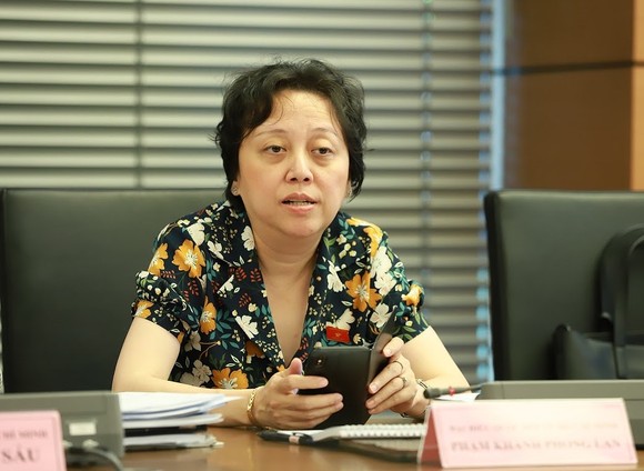 Bà Phạm Khánh Phong Lan: Ngành tư pháp cần đánh giá toàn diện vụ Hoàng Công Lương ảnh 1