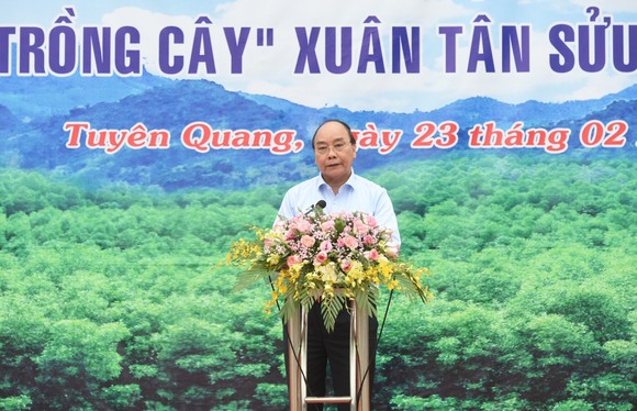 Thủ tướng kêu gọi trồng cây 'Vì một Việt Nam xanh' ảnh 1