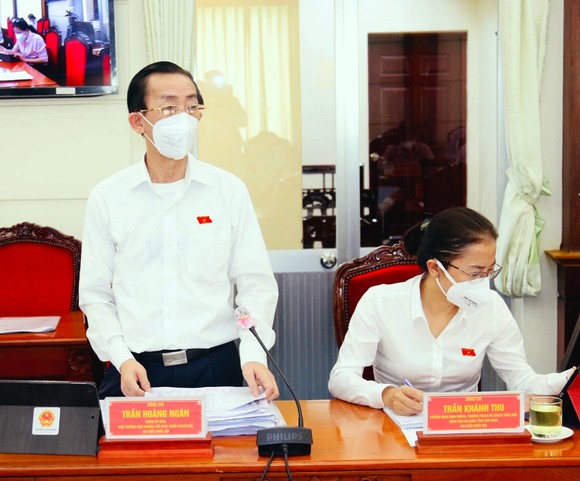 Đại biểu Phạm Khánh Phong Lan: Giờ vẫn chưa có chính sách vaccine dịch vụ, chúng ta lo nổi không? ảnh 3