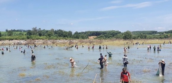 Hàng trăm người đổ xô bắt cá ở đập thủy điện Trị An ảnh 1