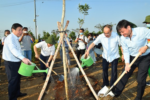 TP Thủ Đức phát động, ra quân trồng cây xanh, dọn dẹp vệ sinh môi trường ảnh 2