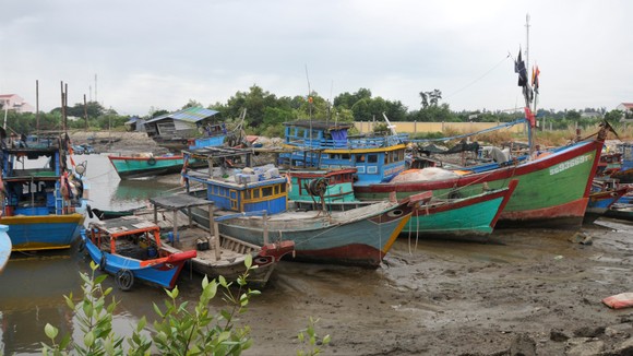 TPHCM khẩn trương phòng chống cơn bão số 9 ảnh 23