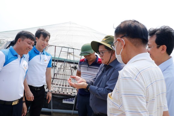 C.P. Việt Nam 'hợp tác phát triển ngành đánh bắt thủy sản bền vững' ảnh 2