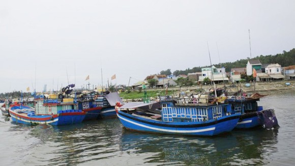 Sơ tán khẩn cấp gần 400.000 người dân tránh bão Con voi ảnh 1