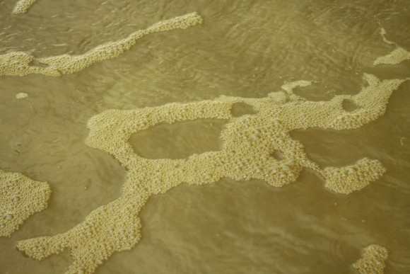 Quảng Ngãi: Nước biển vàng nâu, nổi bọt màu lan rộng đến làng biển Hải Ninh ảnh 8