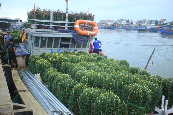 Những chuyến tàu 'chở tết' ra đảo Lý Sơn ảnh 4