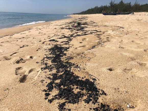 Quảng Ngãi: Xuất hiện 'chất lạ' màu đen, dẻo, vón cục trên bãi biển ảnh 1