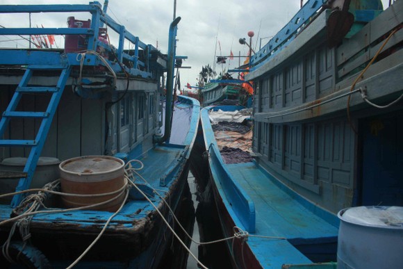 Quảng Ngãi khẩn trương neo trú tàu thuyền tránh trú bão số 9  ảnh 7