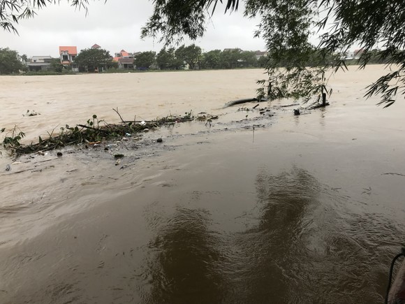 Nước lũ dâng cao, nhiều nơi ở Quảng Ngãi bị ngập sâu ảnh 6