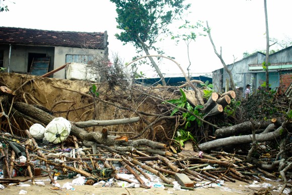 Triều cường, sóng lớn đánh sập nhà dân ở Quảng Ngãi ảnh 10