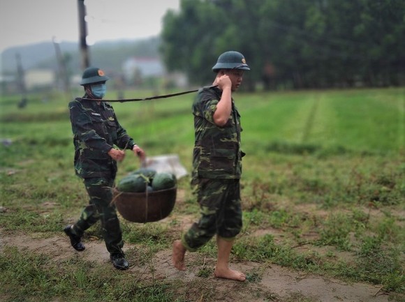 Quảng Ngãi: Hỗ trợ nông dân vùng phong tỏa tiêu thụ dưa hấu ảnh 2