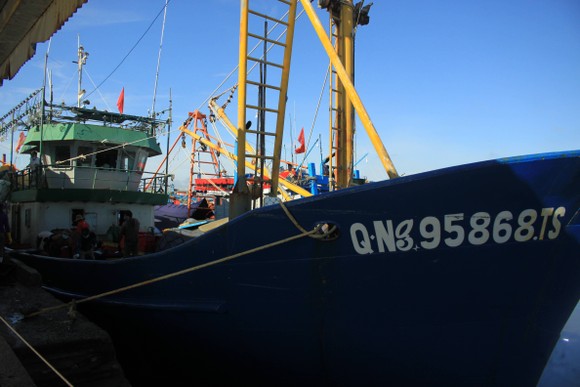 Quảng Ngãi: Nhiều cảng cá mở cửa trở lại, giải quyết hải sản cho ngư dân ảnh 1