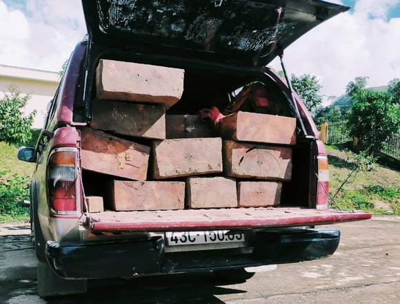Quảng Ngãi: Phát hiện xe ô tô chở gỗ trái phép ảnh 1