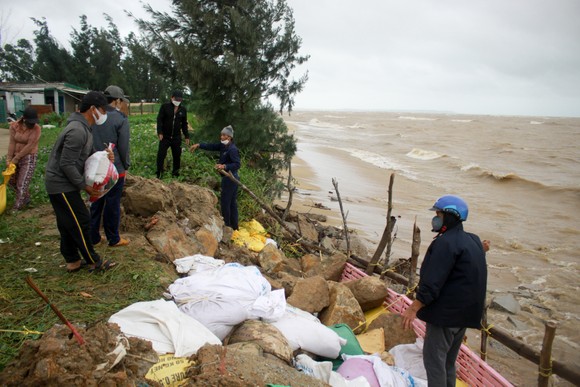 Quảng Ngãi: Người dân nỗ lực gia cố bờ biển đang bị xâm thực nghiêm trọng ảnh 9