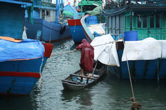 Ứng phó bão RAI: Quảng Ngãi kêu gọi tàu thuyền trú tránh an toàn trước 10 giờ ngày 18-12 ảnh 2