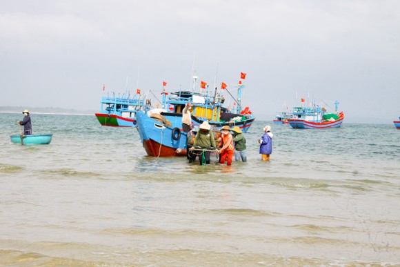 Ngư dân Quảng Ngãi trúng đậm mùa ruốc cuối năm ảnh 2