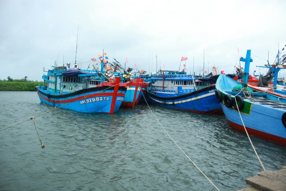 Quảng Ngãi: Khẩn trương ứng phó diễn biến thời tiết nguy hiểm trên biển và mưa lớn ảnh 1