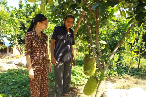 Khám phá vườn trái cây Nam bộ tại làng du lịch Bình Thành, Quảng Ngãi ảnh 4
