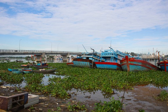 Quảng Ngãi: Nhiều tàu cá tiền tỷ vướng nợ ngân hàng chờ bán bị chìm nơi neo đậu ảnh 1