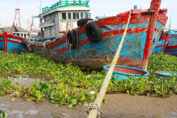 Quảng Ngãi: Nhiều tàu cá tiền tỷ vướng nợ ngân hàng chờ bán bị chìm nơi neo đậu ảnh 4