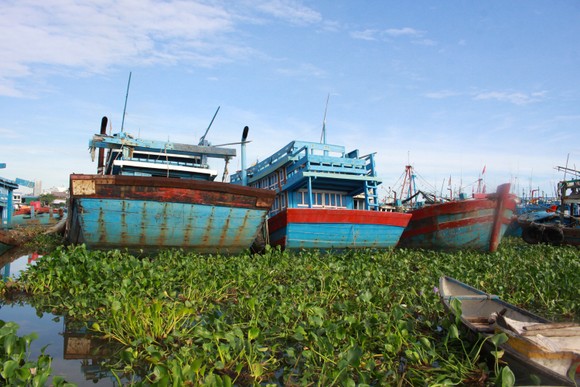 Quảng Ngãi: Nhiều tàu cá tiền tỷ vướng nợ ngân hàng chờ bán bị chìm nơi neo đậu ảnh 6