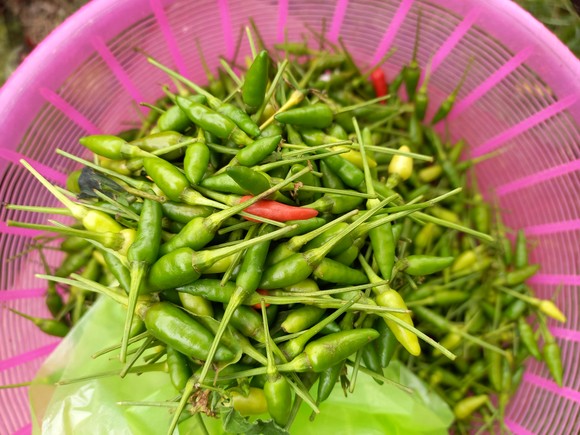 Cuối tuần, đi 'chợ' của người Cor trên đỉnh đèo Eo Chim ảnh 13