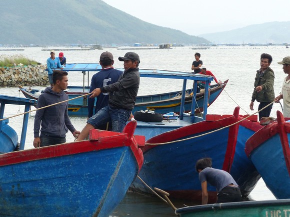 Người nuôi hải sản ở Phú Yên xuất bán tôm hùm trước khi bão số 5 đổ bộ ảnh 5