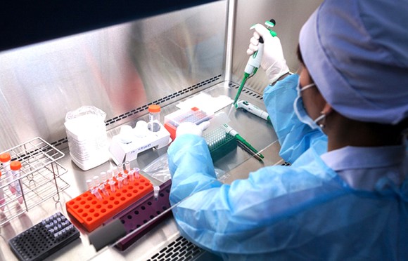 Việt Nam nuôi cấy và phân lập thành công chủng mới của virus Corona ảnh 2