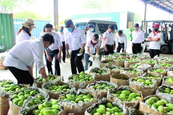 Vedan Việt Nam hỗ trợ cho nông dân huyện Vĩnh Cửu tỉnh Đồng Nai ảnh 3