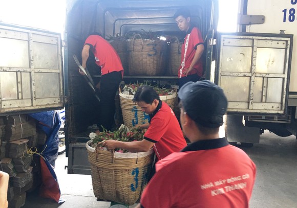 Chi phí logistics cao hơn so với các chi phí khác đã làm giảm năng lực cạnh tranh của nông sản Việt Nam trên thị trường trong và ngoài nước